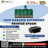 Chip Auto Reset Cartridge Epson C110